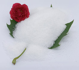 Loại polyacrylamide nào hiệu quả hơn để xử lý nước thải rửa xe?