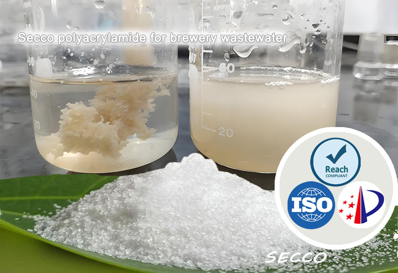 Lựa chọn và hiệu quả của polyacrylamide (PAM) trong xử lý nước thải nhà máy bia